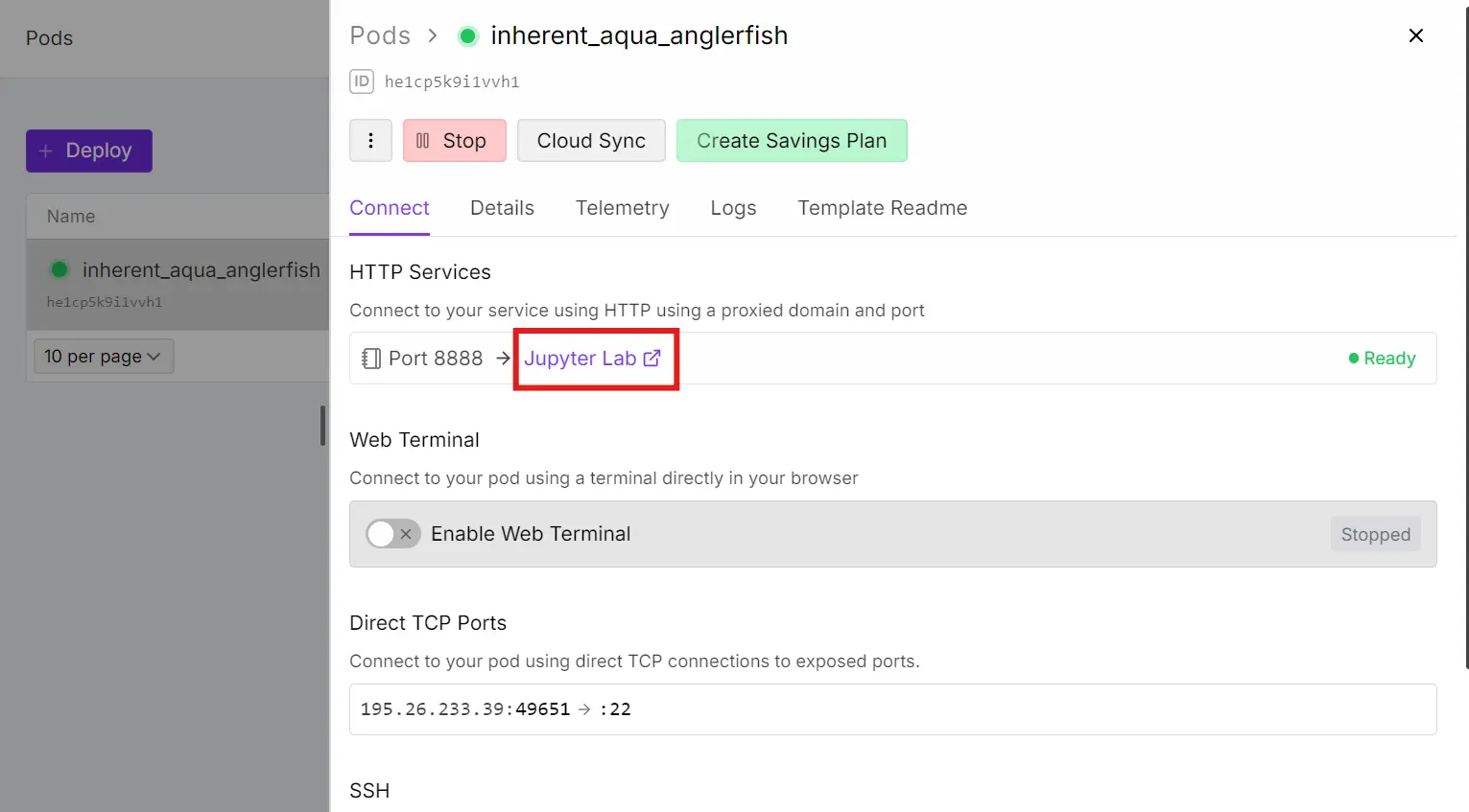 RunPod Jupyter Lab Link